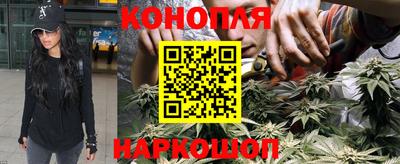 spice Ставрополь