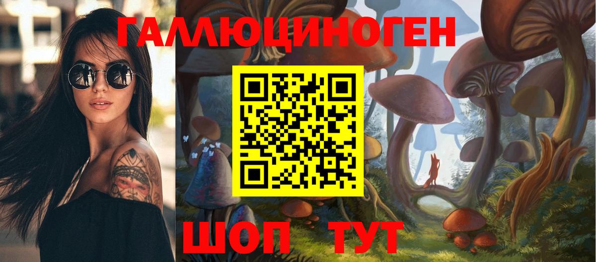 Псилоцибиновые грибы MAGIC MUSHROOMS Нижний Новгород