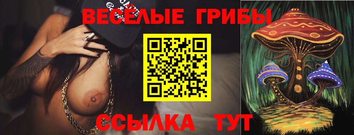 Нижний Новгород  Псилоцибиновые грибы ЛСД  Галлюциногенные грибы прущие грибы  как найти   Вход с VPN 